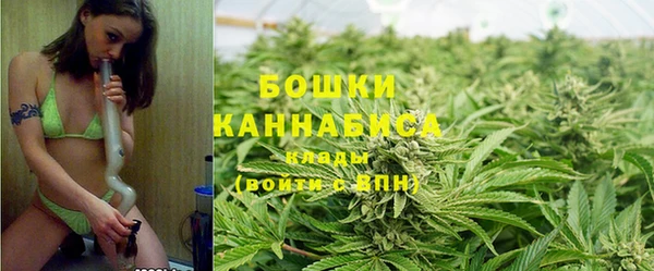 гидропоника Белоозёрский