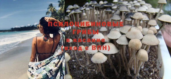 меф Белокуриха
