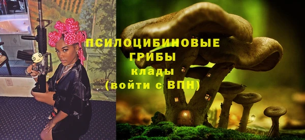 гидропоника Белоозёрский