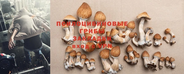 гидропоника Белоозёрский